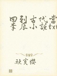 回到古代当太子李辰小说txt