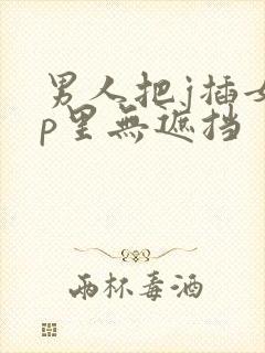 男人把j插女人p里无遮挡