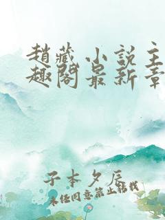 赵藏小说主角笔趣阁最新章节更新