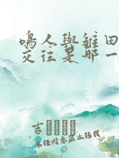 鸣人与雏田正式交往是哪一集