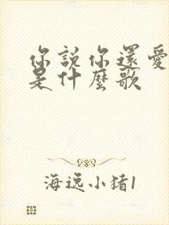 你说你还爱着我是什么歌