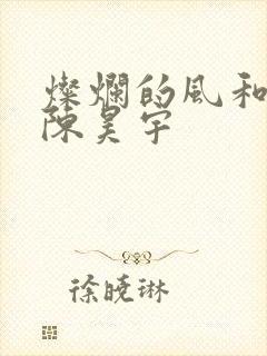灿烂的风和海 陈昊宇