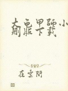 大龟甲师小说未删版下载