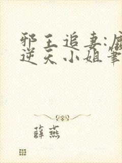 邪王追妻:废材逆天小姐笔趣阁