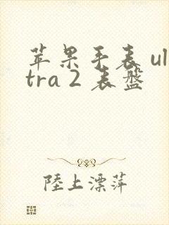 苹果手表 ultra 2 表盘