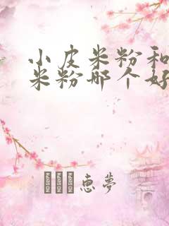 小皮米粉和亨氏米粉哪个好