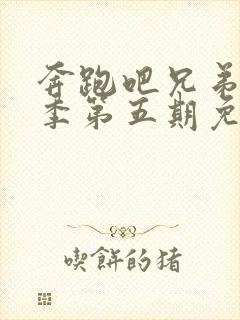 奔跑吧兄弟第五季第五期免费观看