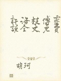 许洛枝傅霁清小说全文免费阅读