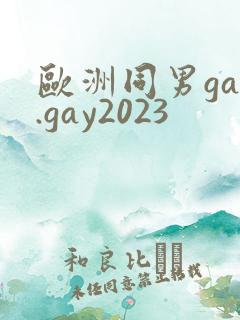 欧洲同男gay.gay2023
