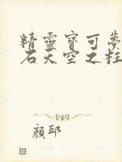 精灵宝可梦绿宝石天空之柱怎么走