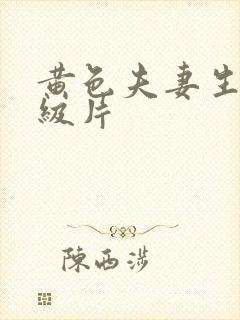 黄色夫妻生活一级片