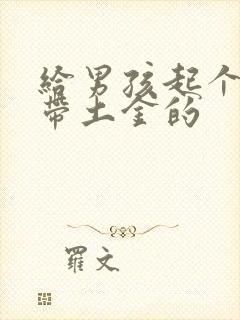 给男孩起个名字带土金的