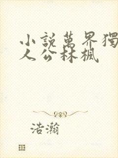 小说万界独尊主人公林枫