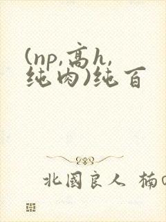 (np,高h,纯肉)纯百