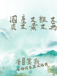 国产又粗又猛又爽又黄又无遮挡