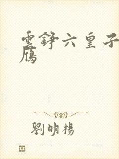 云铮六皇子沈落雁