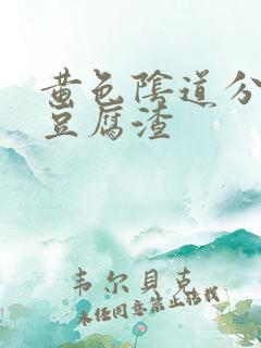 黄色阴道分泌物豆腐渣