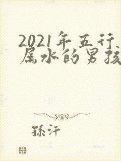 2021年五行属水的男孩名字