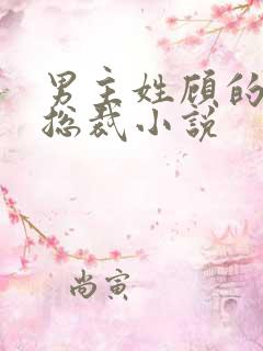 男主姓顾的现代总裁小说