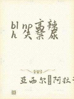 bl np高辣h 失禁尿