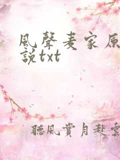 风声麦家原著小说txt