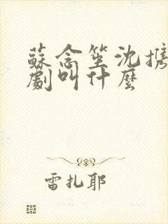 苏念笙沈携西短剧叫什么