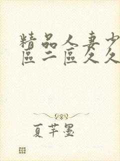 精品人妻少妇一区二区久久久精品视频