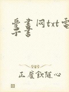 爱书网txt电子书