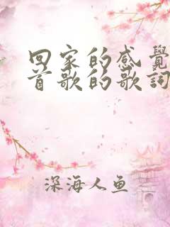 回家的感觉是哪首歌的歌词