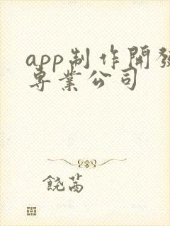 app制作开发专业公司