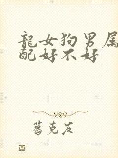 龙女狗男属相婚配好不好