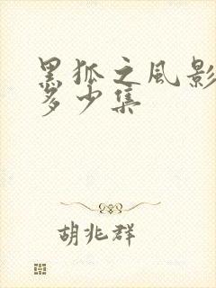 黑狐之风影共有多少集