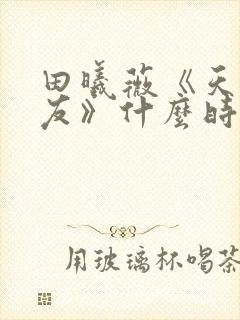 田曦薇《天才女友》什么时候播出