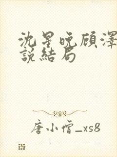 沈星晚顾泽宇小说结局