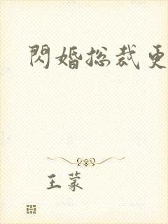 闪婚总裁更霸道