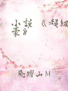 小说 《超级神豪》