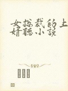 女总裁的上门女婿听小说