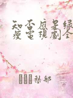 知否应是绿肥红瘦电视剧全集播放