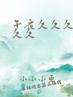 午夜久久久久久久久