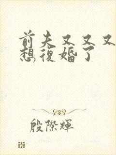 前夫又又又又又想复婚了