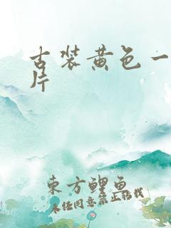 古装黄色一级大片