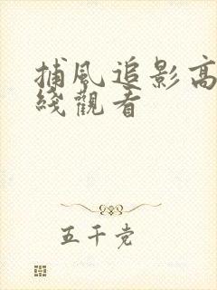 捕风追影高清在线观看