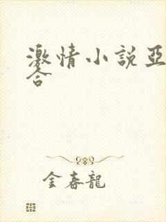 激情小说亚洲综合