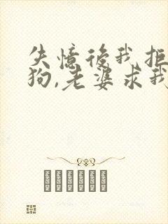 失忆后我拒做舔狗,老婆求我别离婚小说