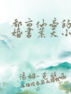 都市仙帝的九张婚书叶天小说