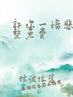 许你一场悲欢完整免费