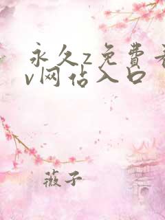 永久z免费看av网站入口