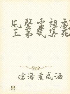 风声电视剧李宁玉第几集死的