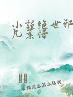 小说绝世邪医林凡叶惜