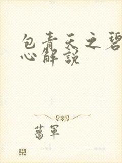 包青天之碧血丹心解说